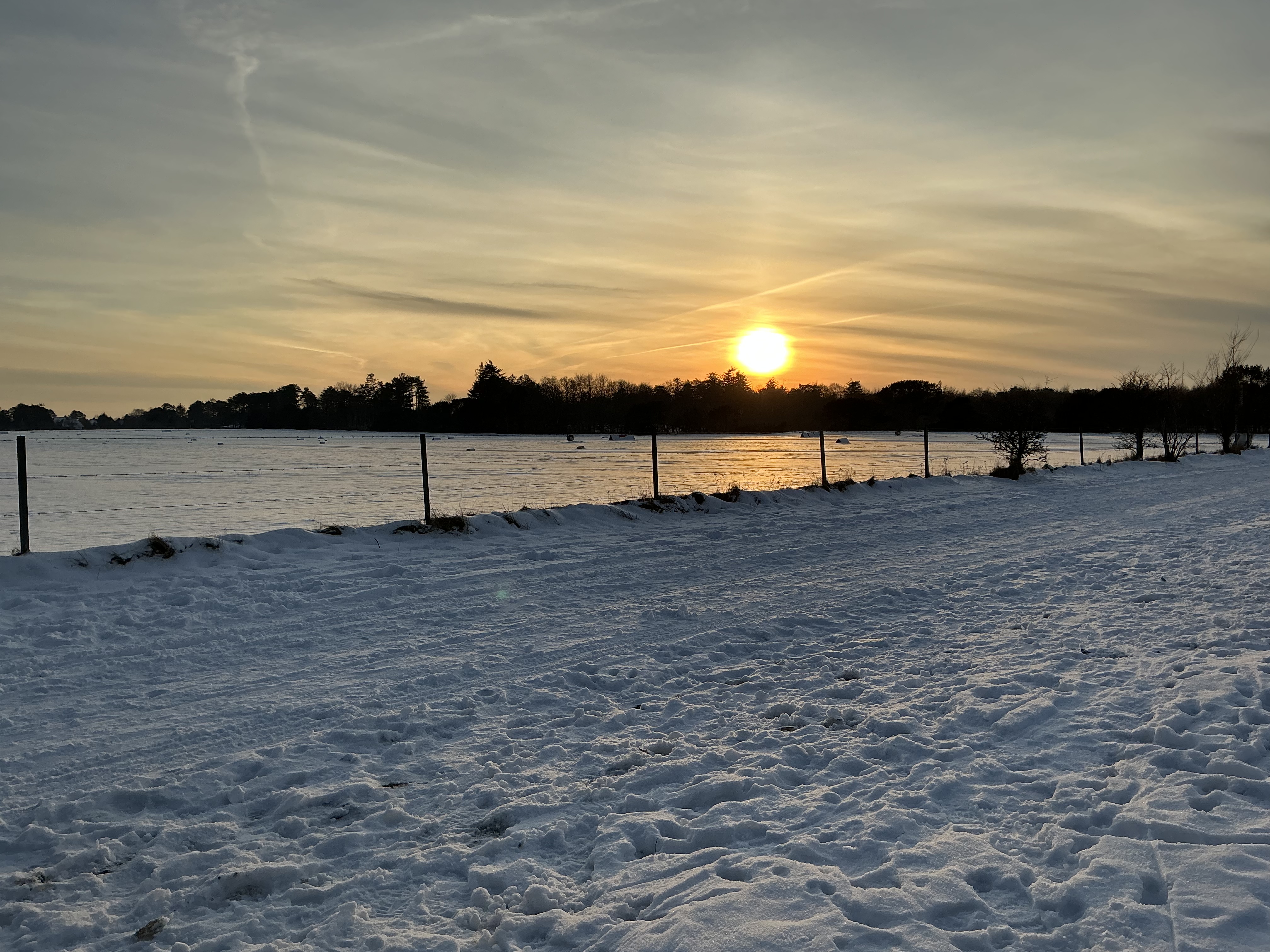 discovered the teilen-button...