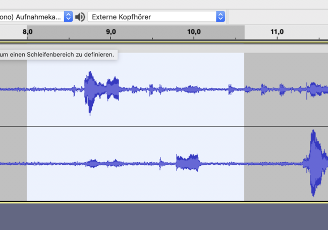 the white field shows the selected (markierte) range in the audio